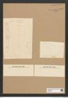 Diatomeae indet. Zeichnungen Sammlung Grunow Nr. 6596 (NHMW-BOT-W0375347)